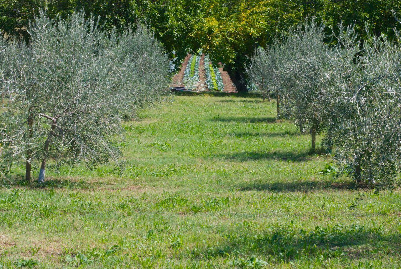 La Costa Fattoria Sociale Villa Sarcedo Bagian luar foto
