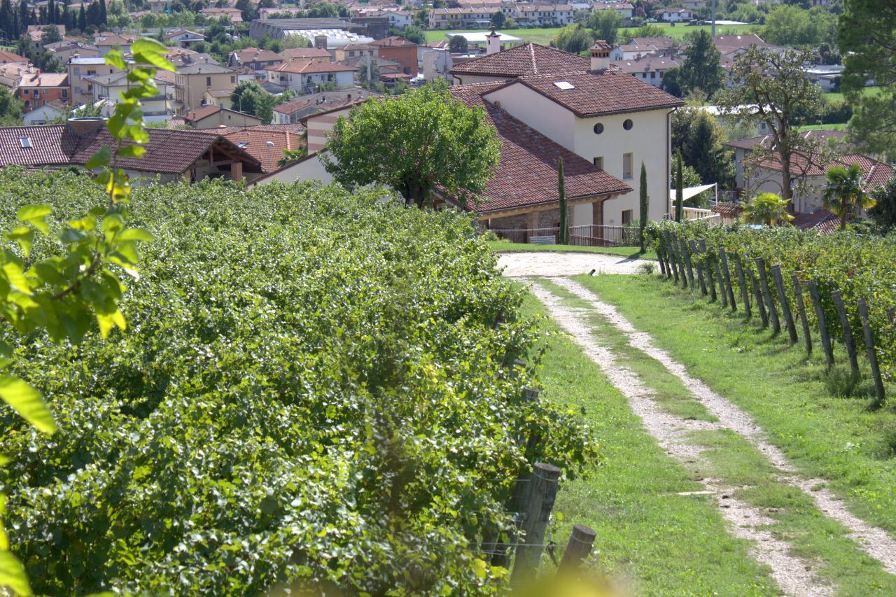 La Costa Fattoria Sociale Villa Sarcedo Bagian luar foto