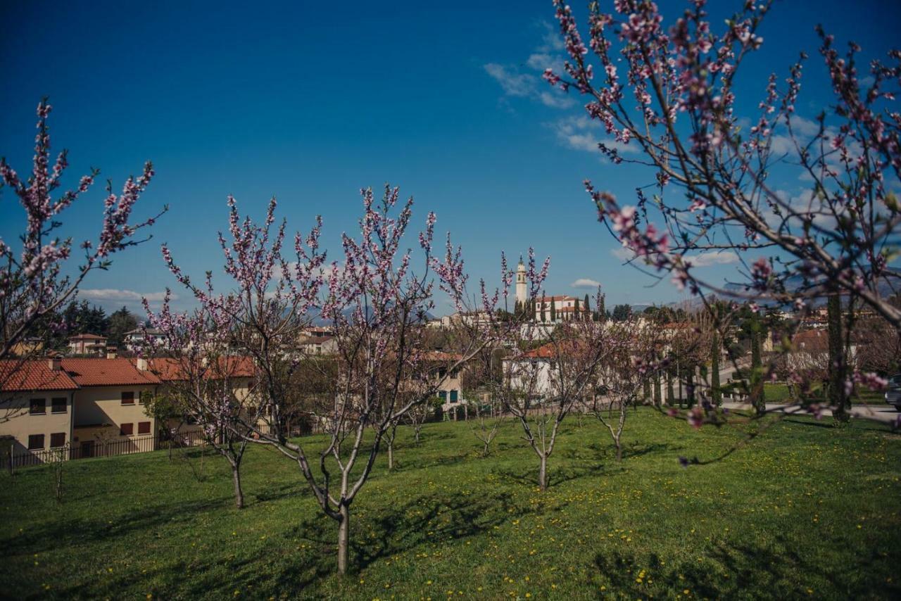 La Costa Fattoria Sociale Villa Sarcedo Bagian luar foto